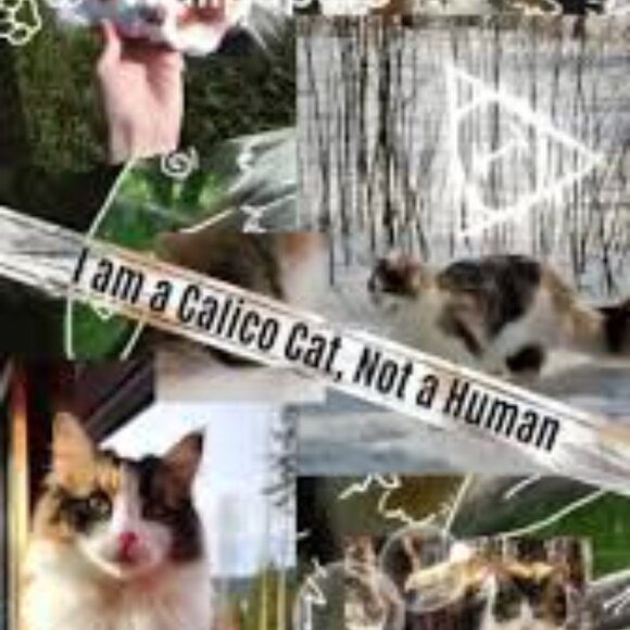 Meet your Posher, Ash - Picture 3 of 6